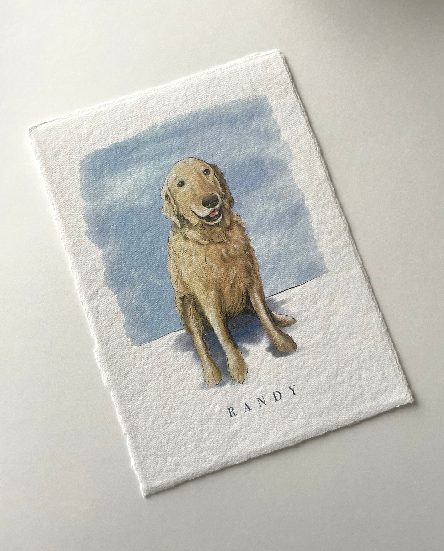 digital illustration of a golden retriever named randy by rust belt love