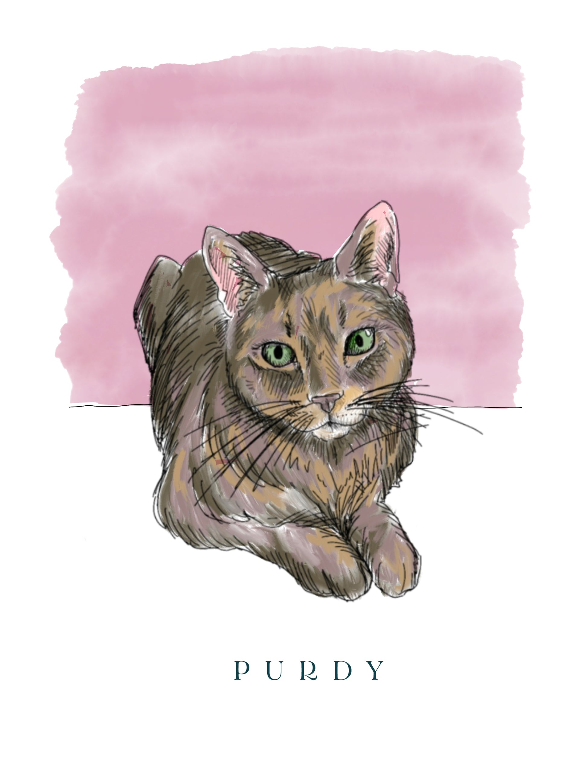 digital illustration of a cat named purdy by rust belt love